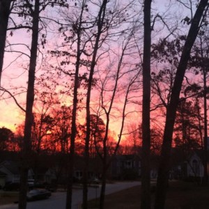 Saddlebrooke Sunrise