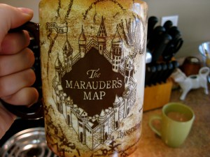 I solemnly swear I am up to no good!