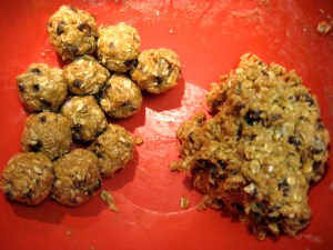 Oatmeal Raisin Cookie Dough