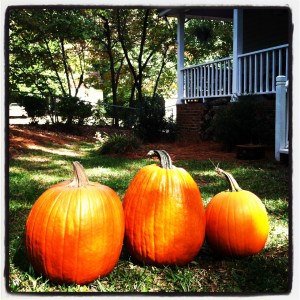 Love me some pumpkins!